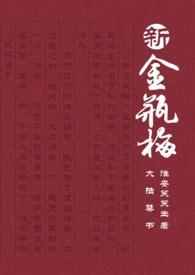 新金瓶梅分集播放