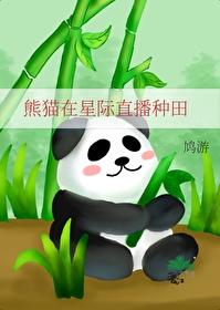 星际文主角是熊猫