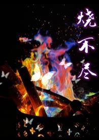 烧不尽(1v1) 来源www
