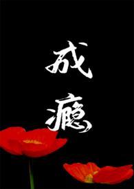 成瘾全文阅读