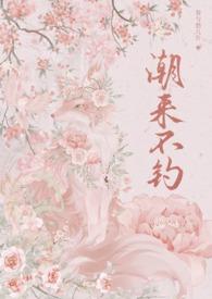 潮来潮去怎么读