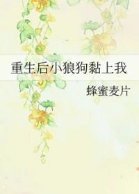 重生小狼狗gl