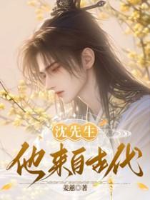 男主叫沈先生