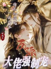 快穿反派大佬强势宠