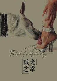 败犬之歌