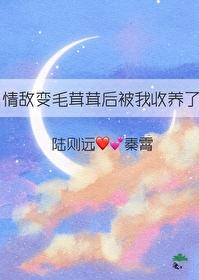 情敌变成了我的猫