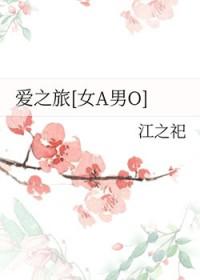 爱之旅mv