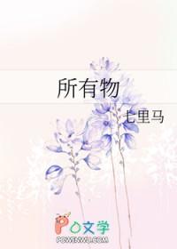 所有物财产的英文