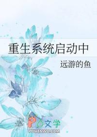 重生系统启动中有声音