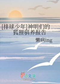 排球少年狐狸队