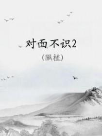 对面不识默语书白