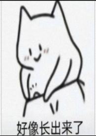 一个被玩坏的男人