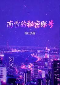 南雪的秘密账号全文免费阅读