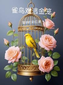 雀鸟雀鸟与金笼