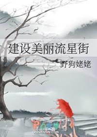 建设美丽流星街txt