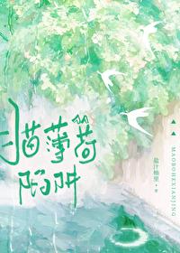 猫薄荷陷阱番外