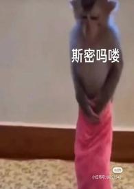 泡芙小姐人物