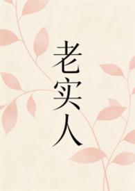 老实人作者
