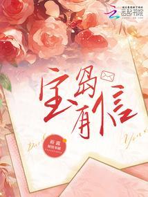 宝岛里是什么意思