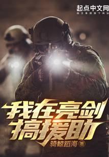 我在亮剑当