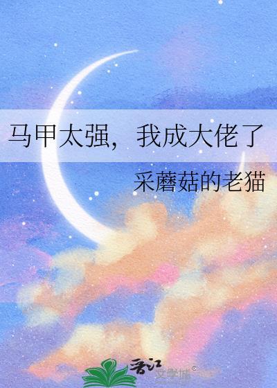 马甲大佬是什么