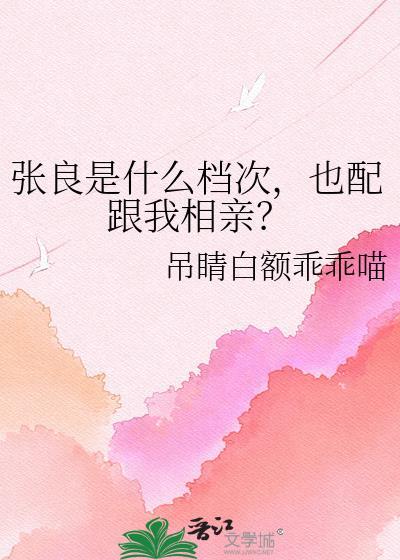 张良是什么档次
