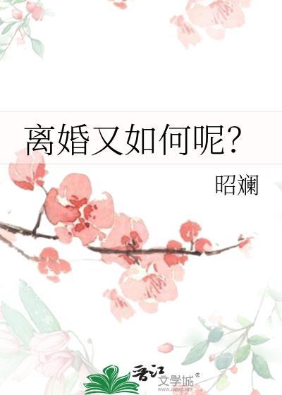 离婚又如何呢by昭澜txt