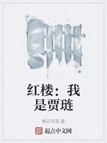 红楼我是贾琏百度百科