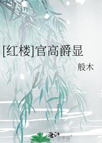红楼官高爵显无防盗