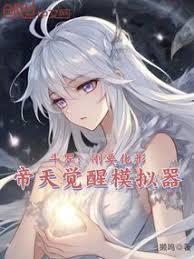 帝天觉醒模拟器在