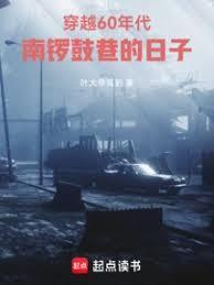 穿越60年代南锣鼓巷的日子3Q
