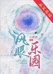 风眼风力