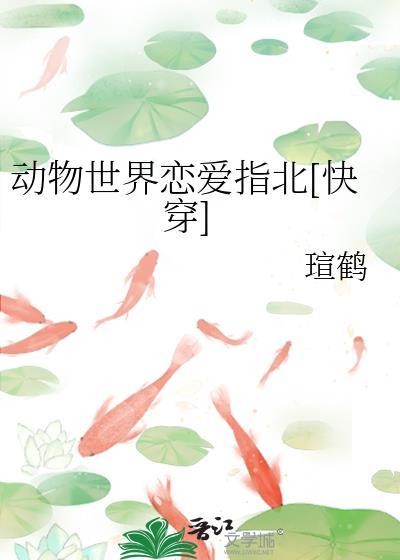 动物世界择偶