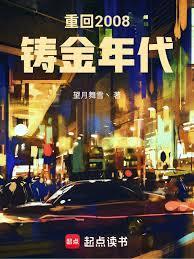 重回2008铸金年代笔趣阁