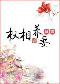权相养妻日常章节
