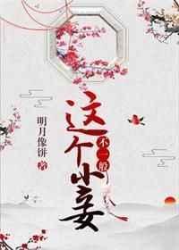 这个小妾不一般txt百度