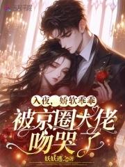入夜娇软乖乖被京圈大佬宠哭了免费阅读百度无广告