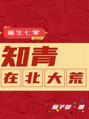 重生七零:知青在北大荒